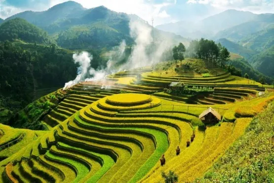 Vietnam Offers Visa - Free Entry to Citizens of Poland, Czech Republic, and Switzerland in 2025