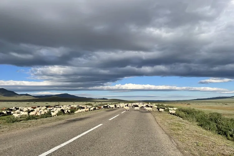 A Nomadic Adventure: Experiencing the Freedom and Beauty of Mongolia