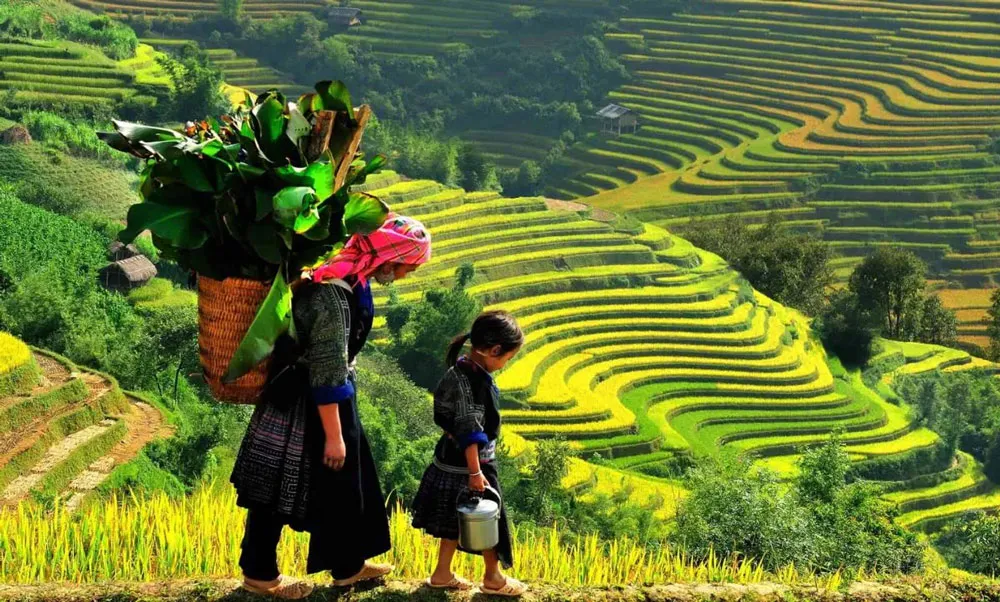 Northern Vietnam Nature And Culture - 8 Days